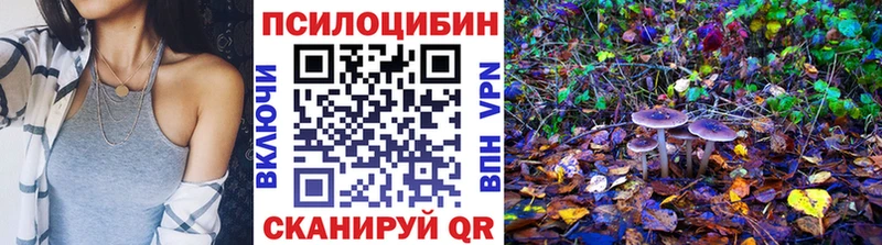 сколько стоит Ленинск hydra вход Псилоцибиновые грибы Psilocybe